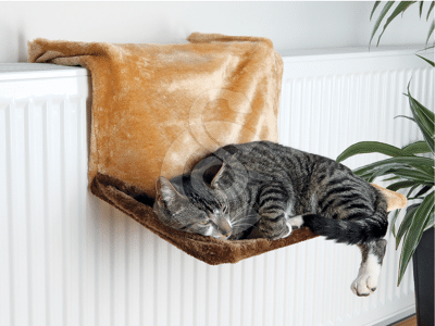 Lit radiateur pour chat
